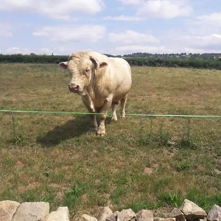 A La Bonne Heure Bed & Breakfast 3*