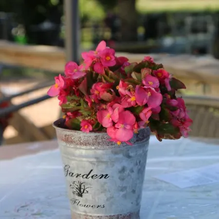 A La Bonne Heure Bed & Breakfast Pionsat