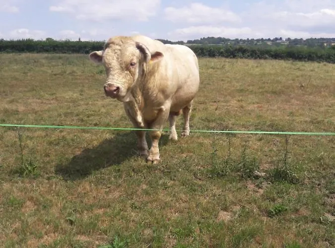 A La Bonne Heure Bed & Breakfast 3*