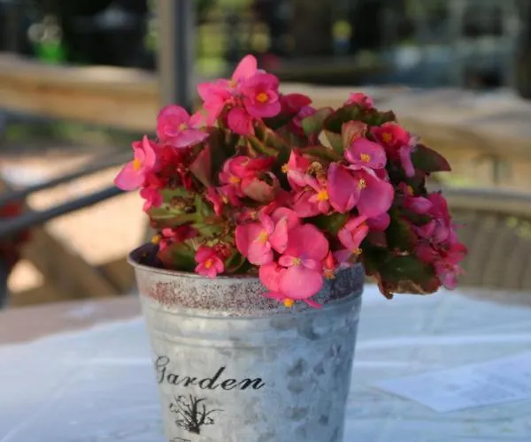 A La Bonne Heure Bed & Breakfast Pionsat